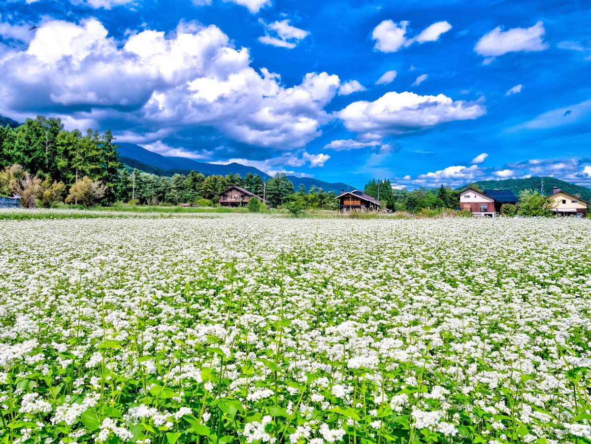 f:id:jranar:20200913191924j:plain