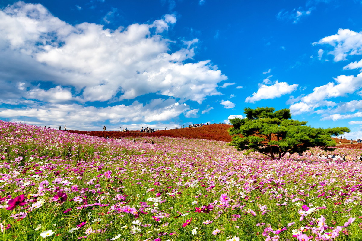 f:id:jranar:20201026071847j:plain