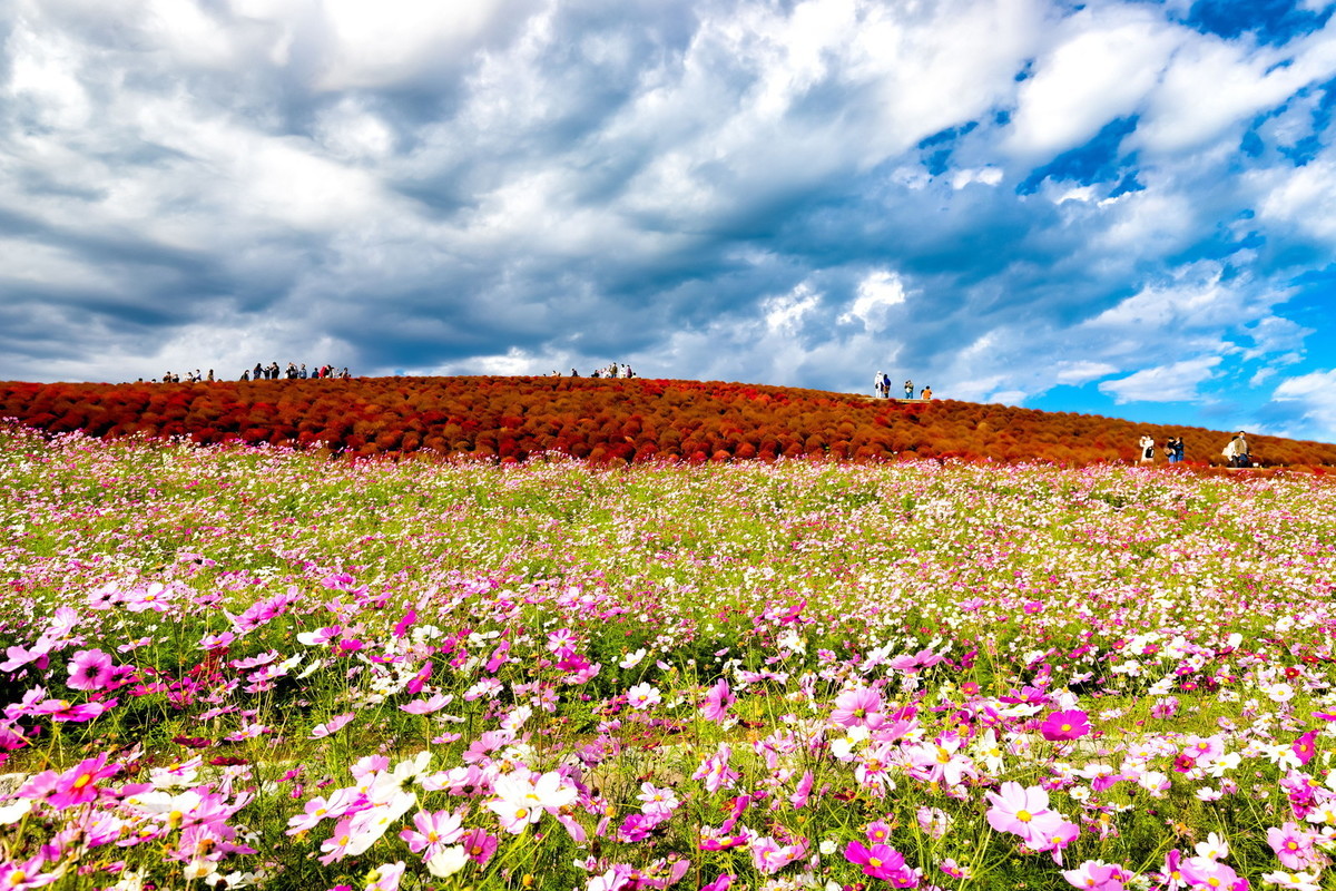 f:id:jranar:20201026072040j:plain