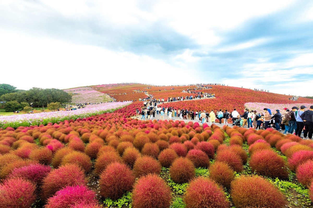 f:id:jranar:20201026072331j:plain