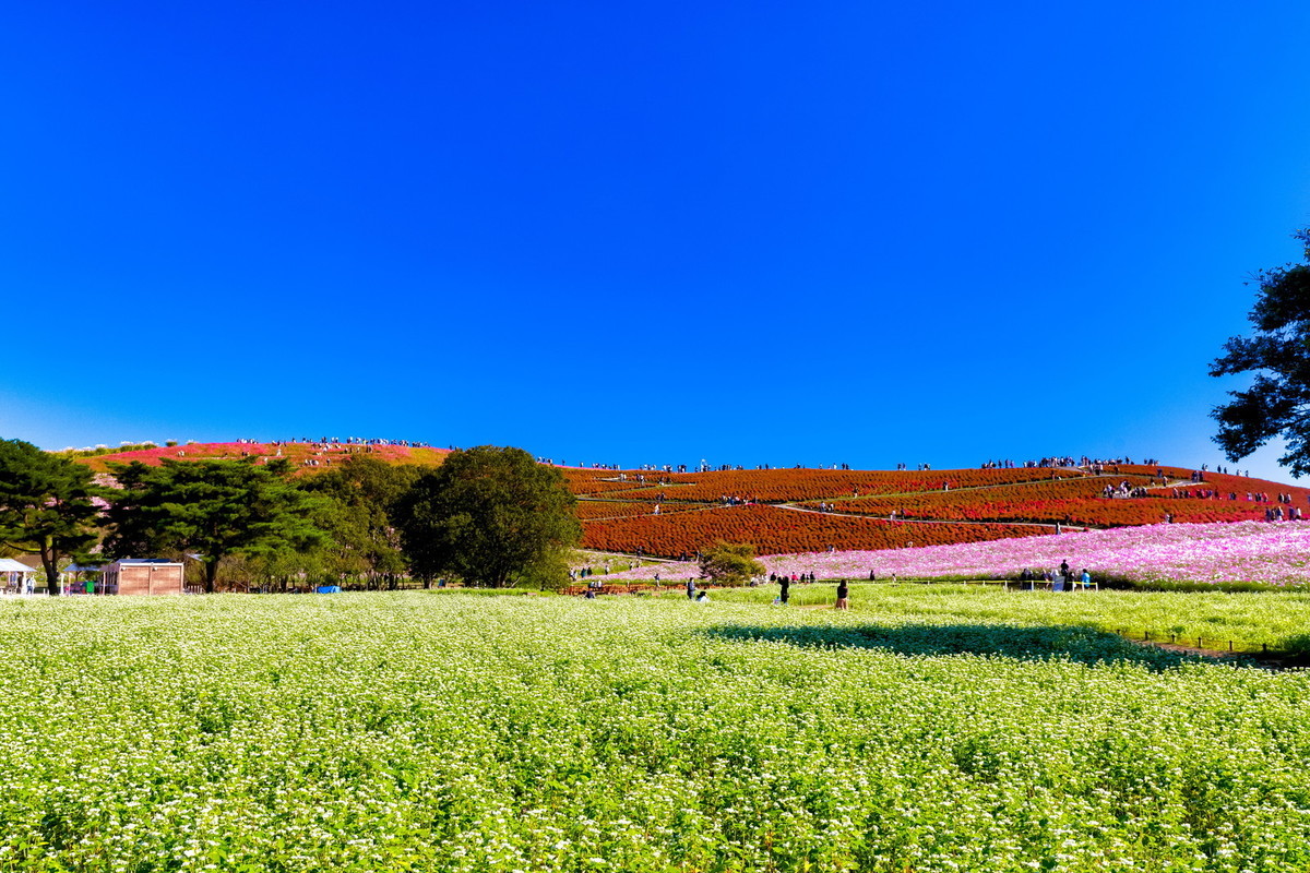 f:id:jranar:20201026081107j:plain