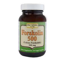 f:id:jrocky:20171025181053j:plain