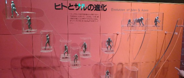 f:id:jrrs:20220111223538j:image f:id:jrrs:20220111223538j:image