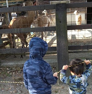 f:id:jrrs:20220111230047j:image f:id:jrrs:20220111230047j:image