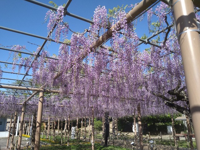 f:id:jrrs:20220417184852j:image f:id:jrrs:20220417184852j:image