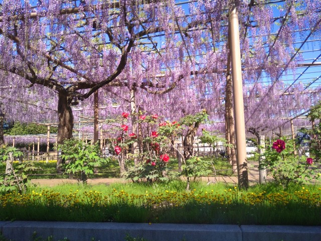 f:id:jrrs:20220417184902j:image f:id:jrrs:20220417184902j:image