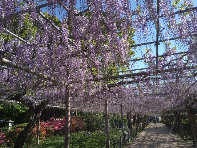 f:id:jrrs:20220417184922j:image f:id:jrrs:20220417184922j:image