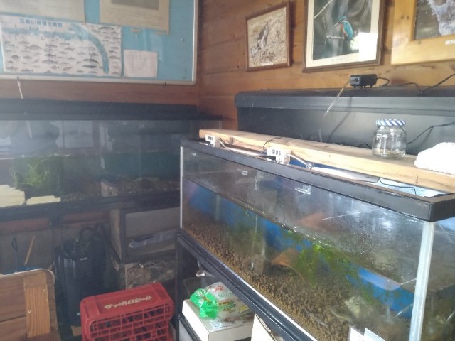 f:id:jrrs:20220422193200j:image