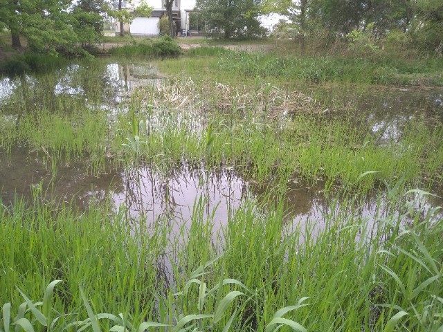 f:id:jrrs:20220422193318j:image