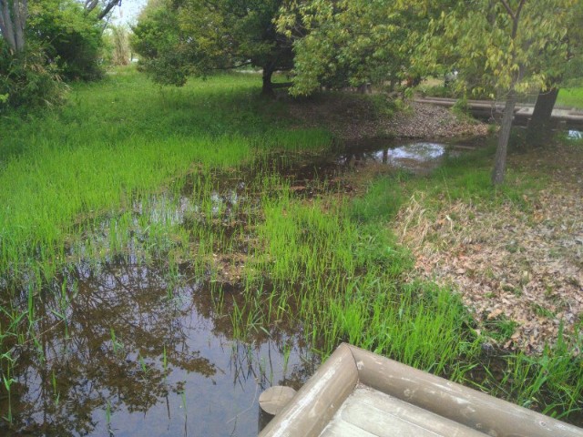 f:id:jrrs:20220422193321j:image