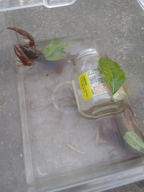 f:id:jrrs:20220531191148j:image