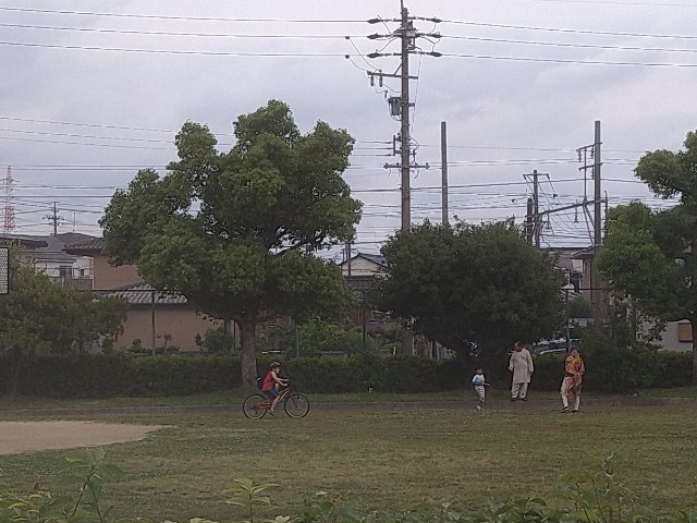 f:id:jrrs:20220608184818j:image