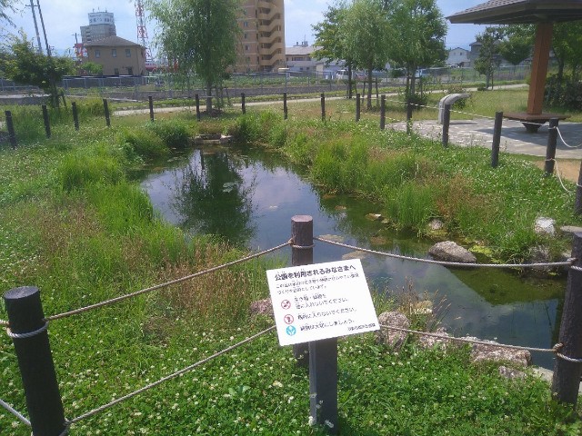 f:id:jrrs:20220703205834j:image