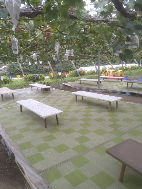 f:id:jrrs:20220928195135j:image