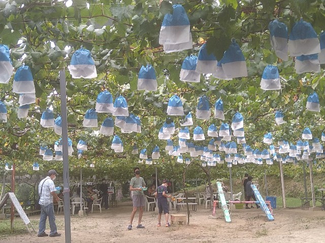 f:id:jrrs:20220928195351j:image