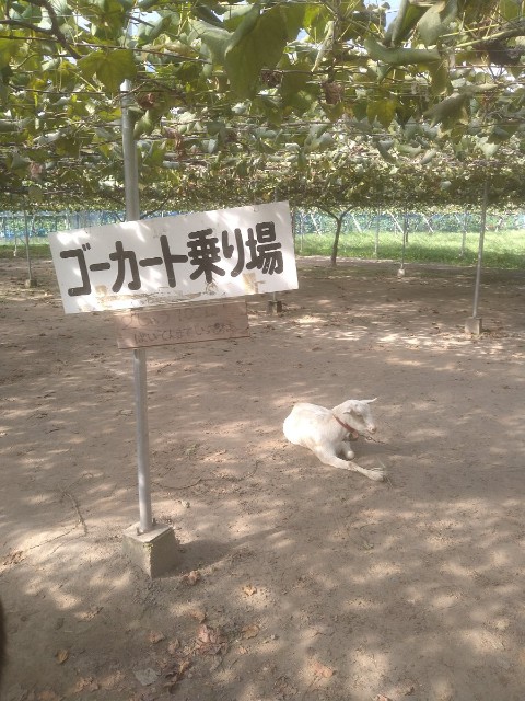 f:id:jrrs:20220928195600j:image