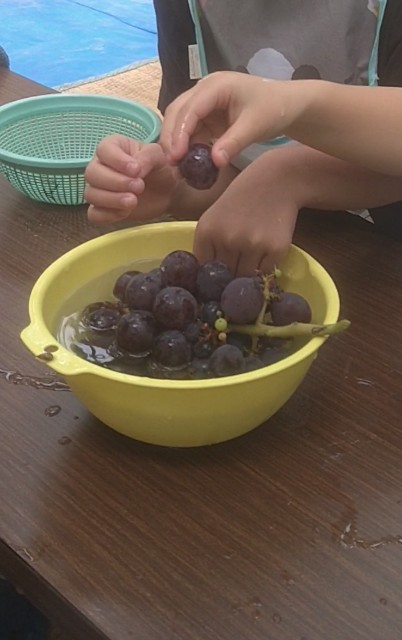 f:id:jrrs:20220930193648j:image