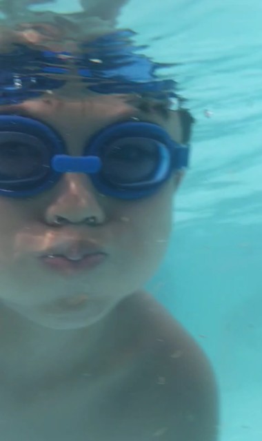 f:id:jrrs:20230911175405j:image