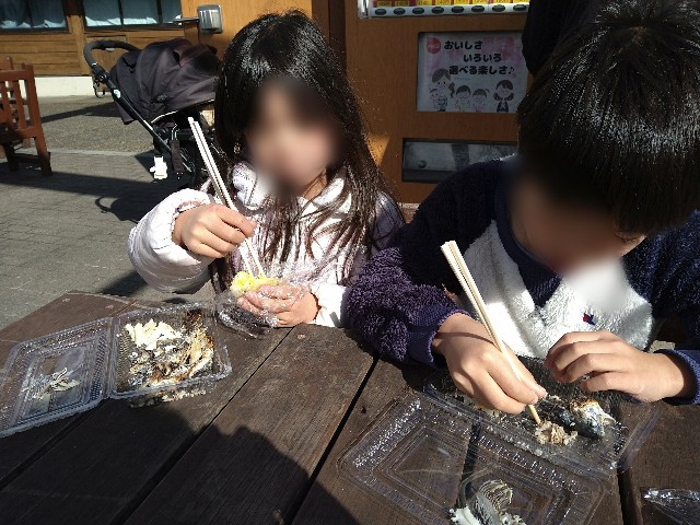 f:id:jrrs:20240212213908j:image f:id:jrrs:20240212213908j:image