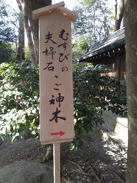 f:id:jrrs:20240303200213j:image f:id:jrrs:20240303200213j:image