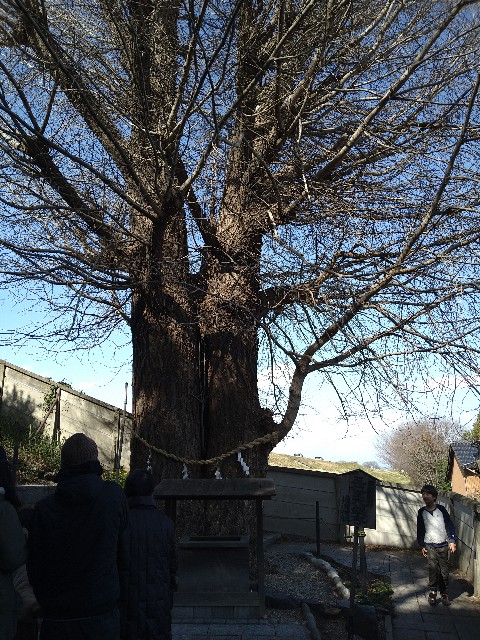f:id:jrrs:20240303200913j:image f:id:jrrs:20240303200913j:image