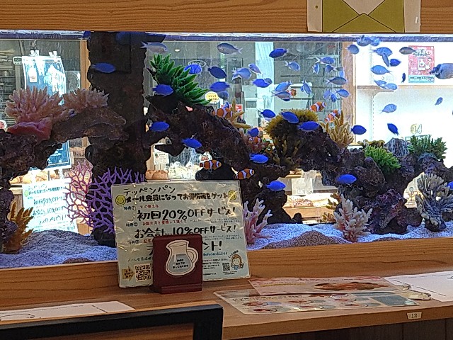 f:id:jrrs:20240409105936j:image