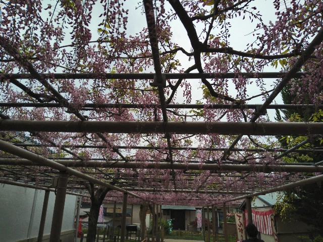 f:id:jrrs:20240420210328j:image f:id:jrrs:20240420210328j:image