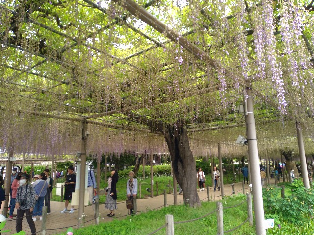 f:id:jrrs:20240429110613j:image f:id:jrrs:20240429110613j:image