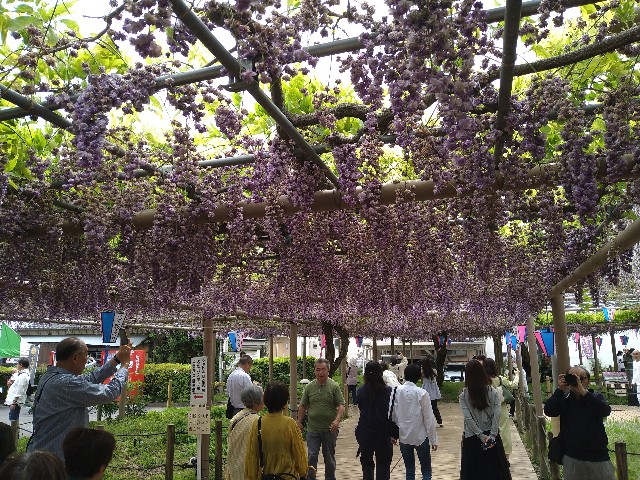 f:id:jrrs:20240429110626j:image f:id:jrrs:20240429110626j:image