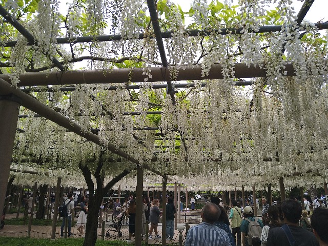 f:id:jrrs:20240429110642j:image f:id:jrrs:20240429110642j:image