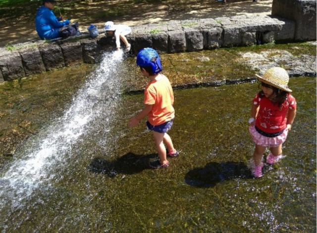 f:id:jrrs:20240502100934j:image