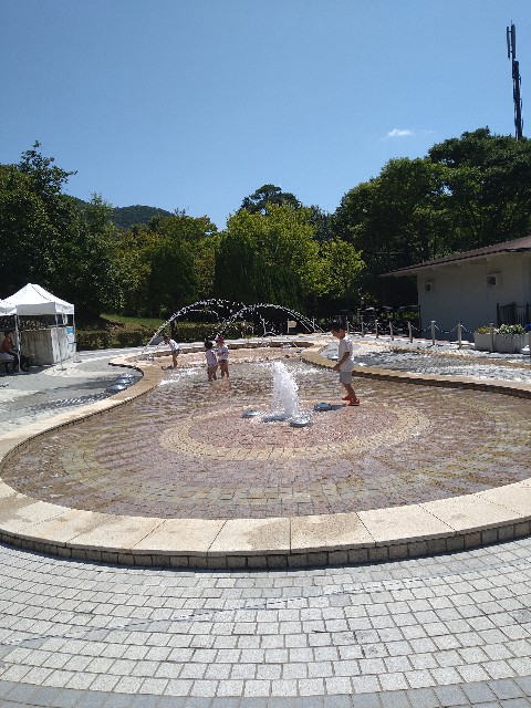 f:id:jrrs:20240815190322j:image f:id:jrrs:20240815190322j:image