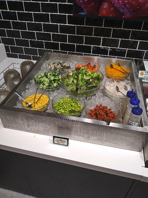 f:id:jrrs:20250204090411j:image