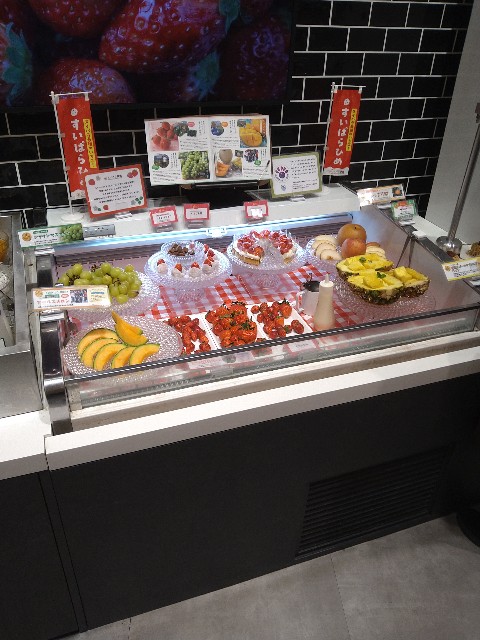 f:id:jrrs:20250204090619j:image