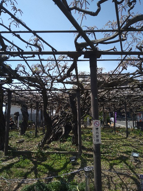 f:id:jrrs:20250413200303j:image