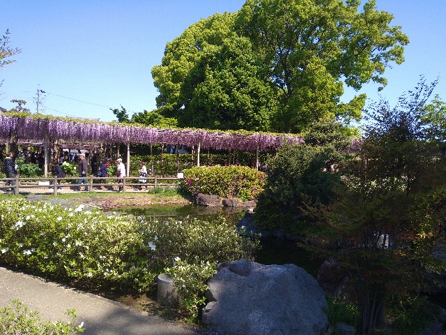 f:id:jrrs:20250426111550j:image