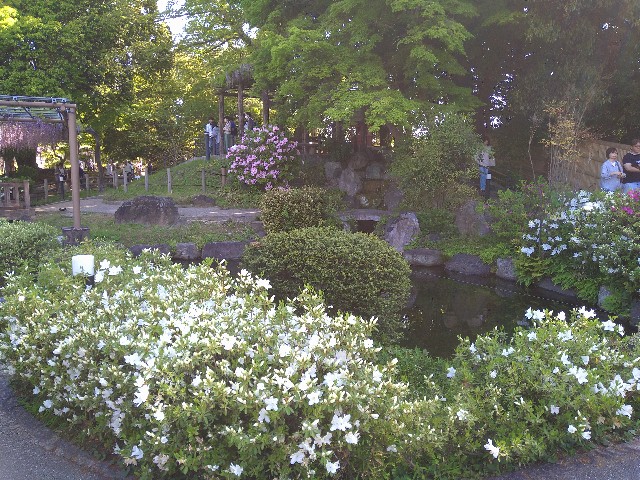 f:id:jrrs:20250426111617j:image