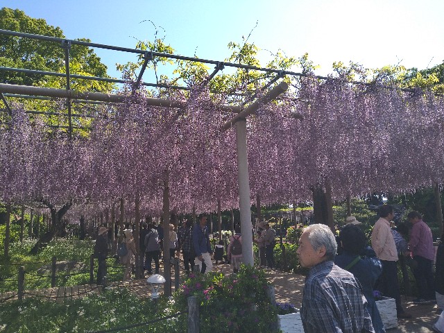 f:id:jrrs:20250426111647j:image