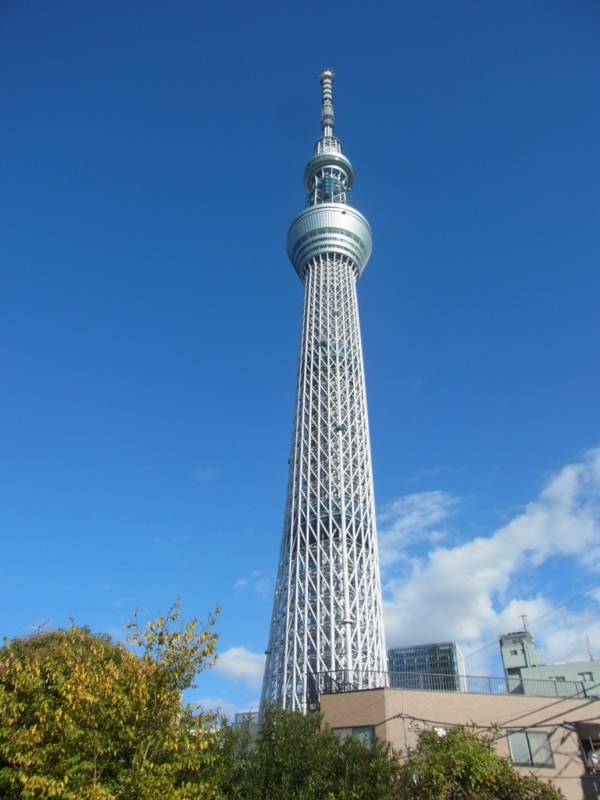 f:id:js430716:20111121133255j:image:w360