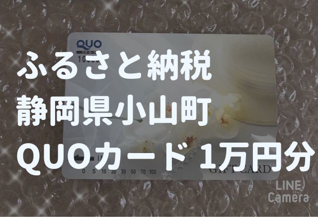 f:id:jsaz:20181129234536j:plain ふるさと納税商品券金券