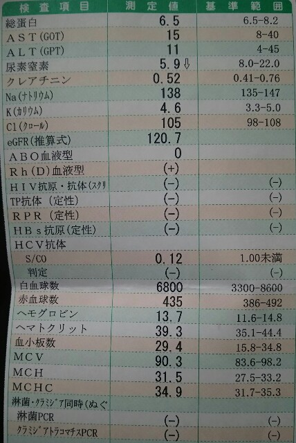 f:id:jsmnchaaaaan:20170808103103j:image