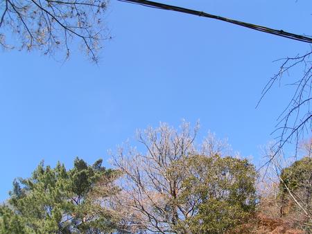 2005年元旦の青空...電線が邪魔だけどなー