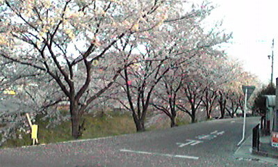 f:id:jspeed:20090409175141j:image