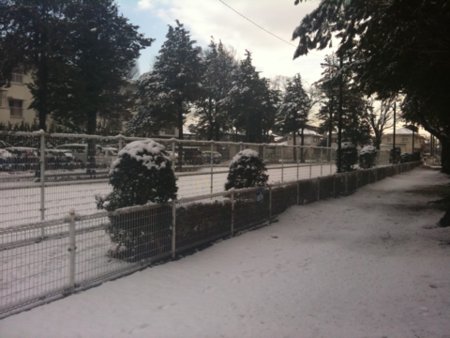 f:id:jssei:20100203015513j:image