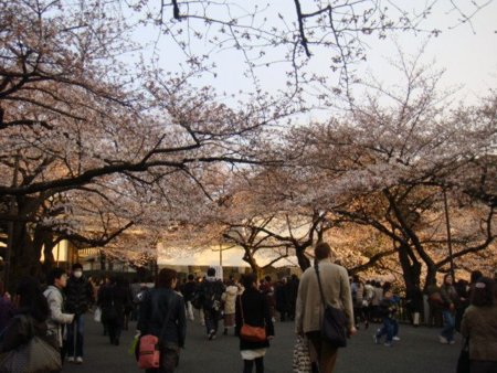 f:id:jssei:20100331172841j:image