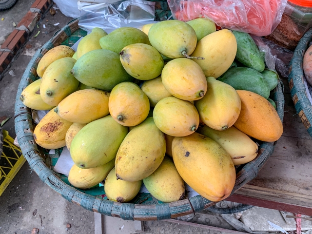 f:id:jta-jkt:20190427144500j:plain f:id:jta-jkt:20190427144500j:plain