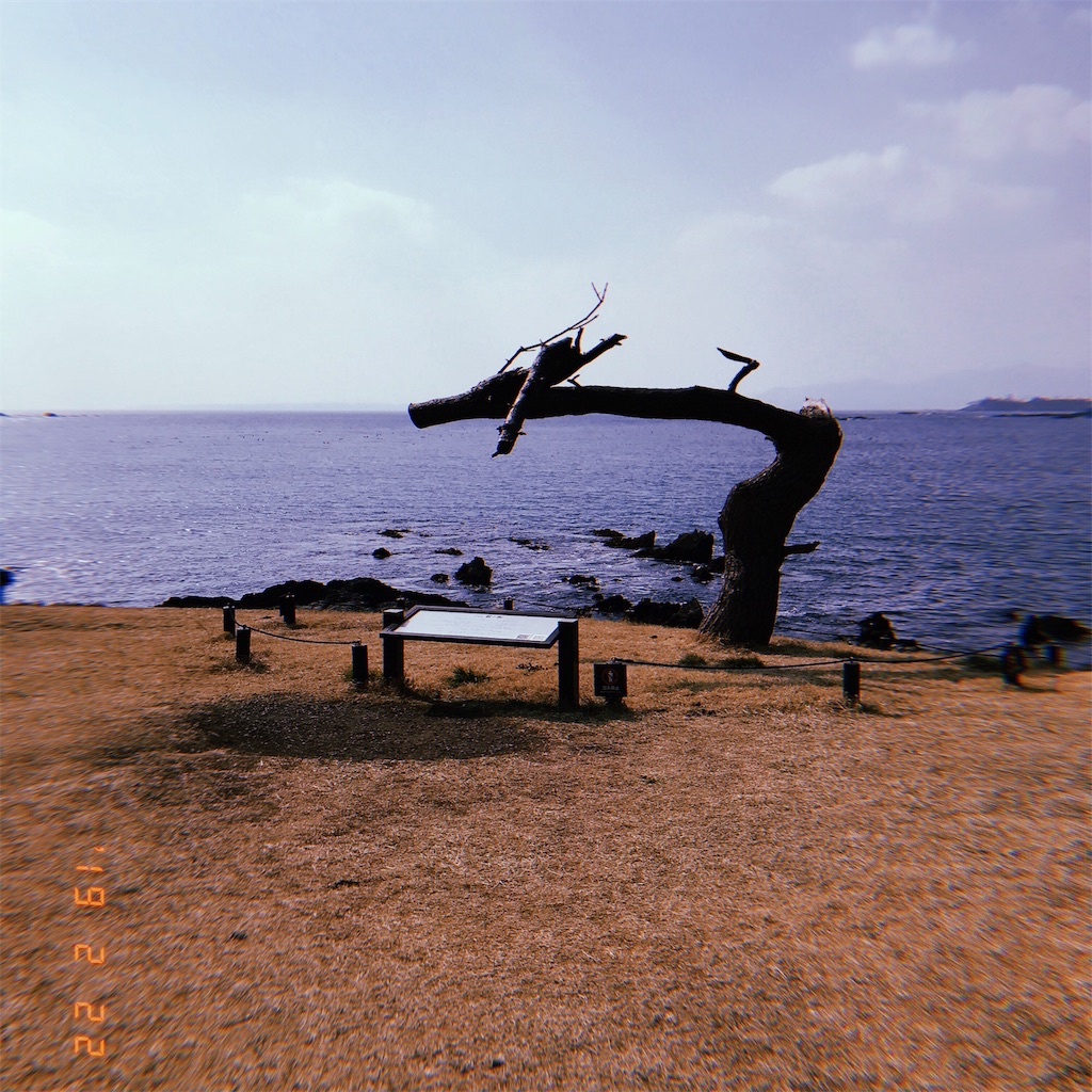 f:id:jtf2016:20190224061913j:image f:id:jtf2016:20190224061913j:image