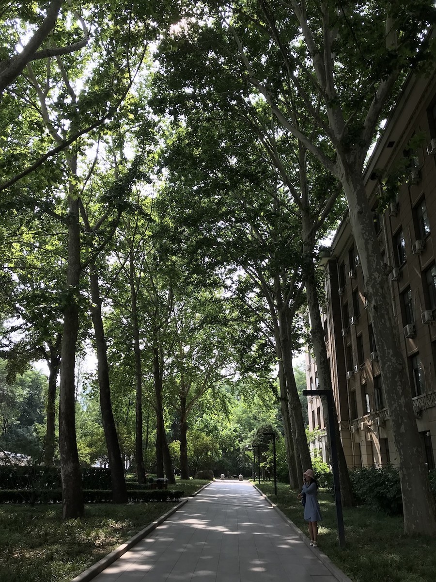 f:id:jtsutsui:20190708151618j:plain f:id:jtsutsui:20190708151618j:plain