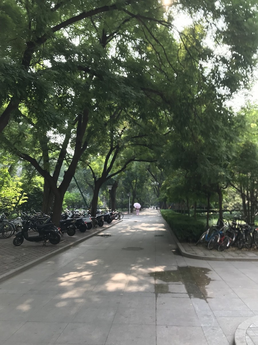 f:id:jtsutsui:20190711082338j:plain f:id:jtsutsui:20190711082338j:plain