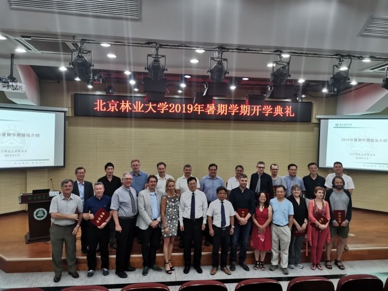 f:id:jtsutsui:20190728124703j:plain f:id:jtsutsui:20190728124703j:plain